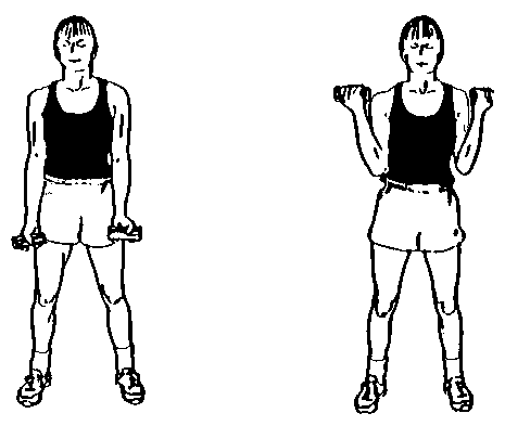 Arms Exercise