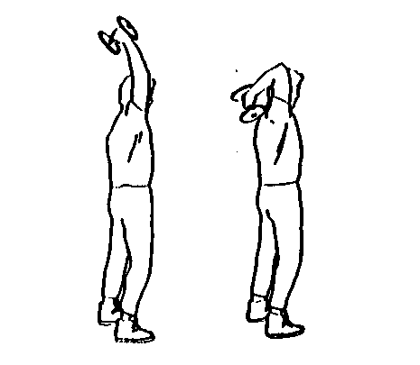 person raising dumbbell overhead, then lowering behind head