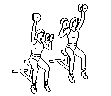 person raising dumbbells to shoulder height, then pressing overhead